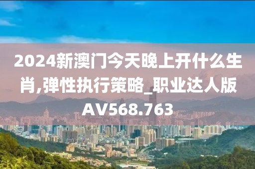 2024新澳门今天晚上开什么生肖,弹性执行策略_职业达人版AV568.763