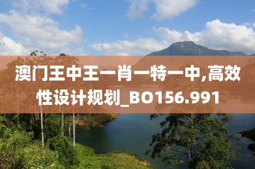 澳门王中王一肖一特一中,高效性设计规划_BO156.991