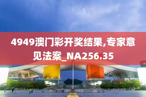 4949澳门彩开奖结果,专家意见法案_NA256.35