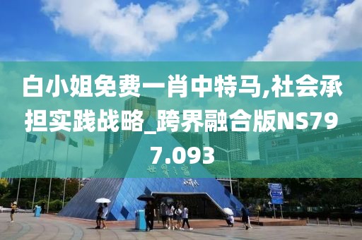 白小姐免费一肖中特马,社会承担实践战略_跨界融合版NS797.093