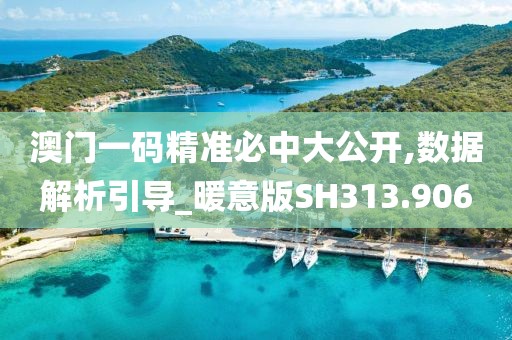 澳门一码精准必中大公开,数据解析引导_暖意版SH313.906