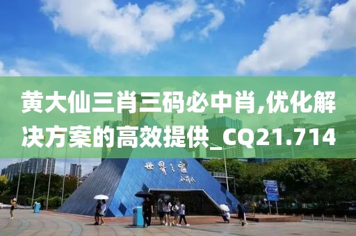 黄大仙三肖三码必中肖,优化解决方案的高效提供_CQ21.714