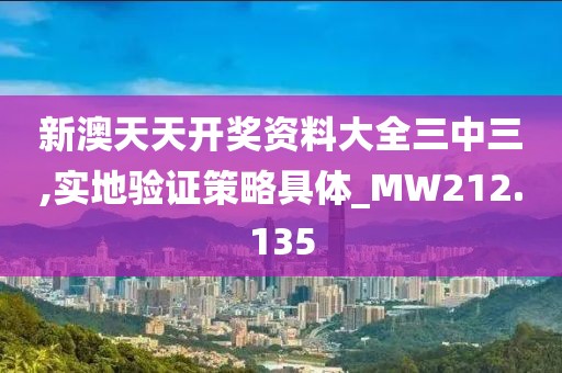 新澳天天开奖资料大全三中三,实地验证策略具体_MW212.135