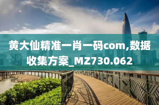 黄大仙精准一肖一码com,数据收集方案_MZ730.062