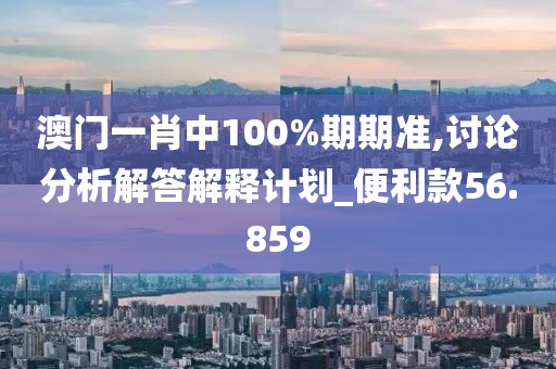 澳门一肖中100%期期准,讨论分析解答解释计划_便利款56.859