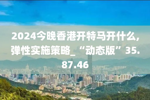 2024今晚香港开特马开什么,弹性实施策略_“动态版”35.87.46
