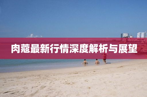 肉蔻最新行情深度解析与展望
