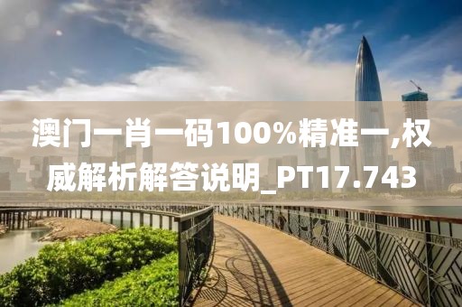 澳门一肖一码100%精准一,权威解析解答说明_PT17.743