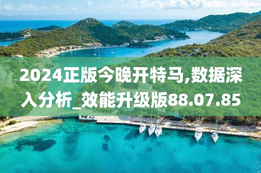 2024正版今晚开特马,数据深入分析_效能升级版88.07.85