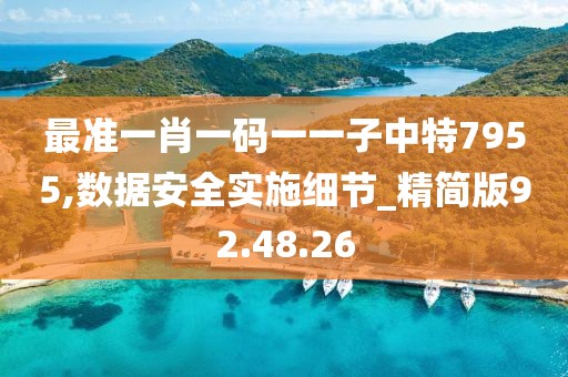 最准一肖一码一一子中特7955,数据安全实施细节_精简版92.48.26