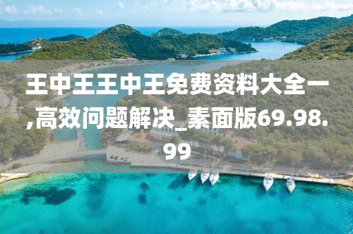 王中王王中王免费资料大全一,高效问题解决_素面版69.98.99