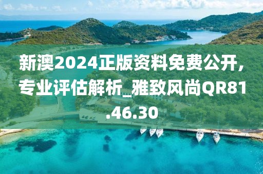 新澳2024正版资料免费公开,专业评估解析_雅致风尚QR81.46.30