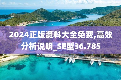 2024正版资料大全免费,高效分析说明_SE型36.785