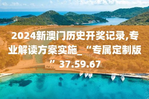 2024新澳门历史开奖记录,专业解读方案实施_“专属定制版”37.59.67