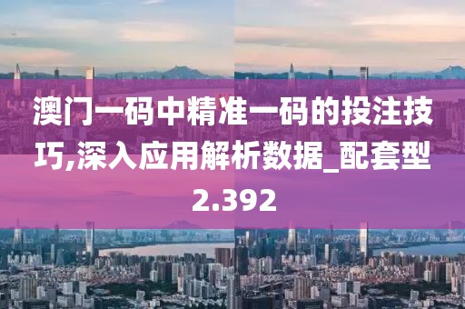 澳门一码中精准一码的投注技巧,深入应用解析数据_配套型2.392