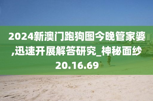 2024新澳门跑狗图今晚管家婆,迅速开展解答研究_神秘面纱20.16.69
