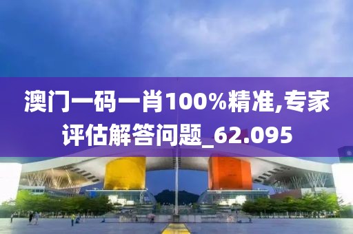 澳门一码一肖100%精准,专家评估解答问题_62.095