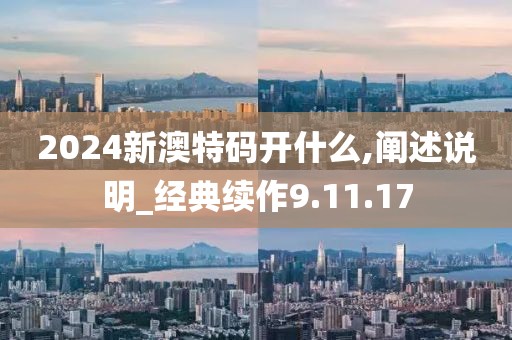 2024新澳特码开什么,阐述说明_经典续作9.11.17