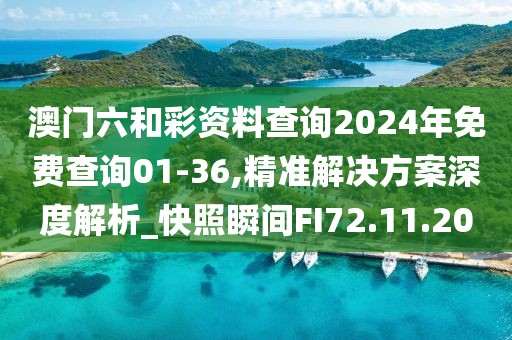 澳门六和彩资料查询2024年免费查询01-36,精准解决方案深度解析_快照瞬间FI72.11.20