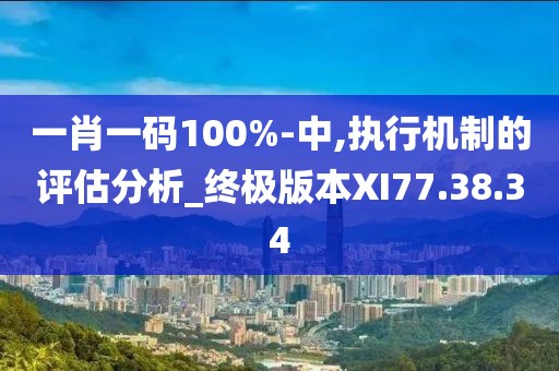 一肖一码100%-中,执行机制的评估分析_终极版本XI77.38.34