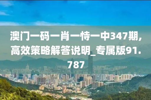 澳门一码一肖一恃一中347期,高效策略解答说明_专属版91.787