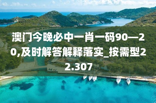 澳门今晚必中一肖一码90—20,及时解答解释落实_按需型22.307