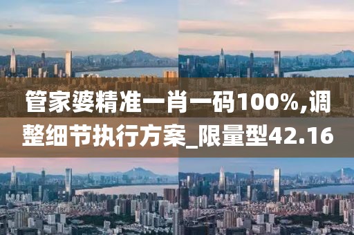 管家婆精准一肖一码100%,调整细节执行方案_限量型42.16