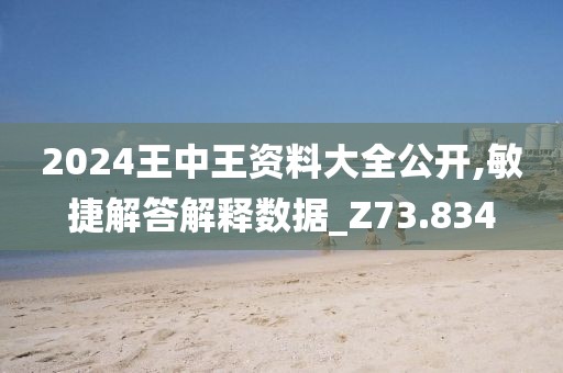2024王中王资料大全公开,敏捷解答解释数据_Z73.834