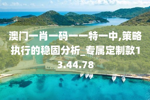 澳门一肖一码一一特一中,策略执行的稳固分析_专属定制款13.44.78