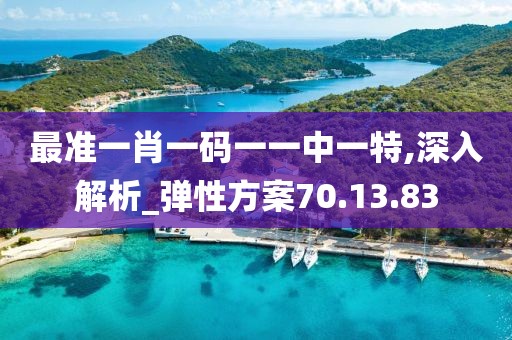 最准一肖一码一一中一特,深入解析_弹性方案70.13.83