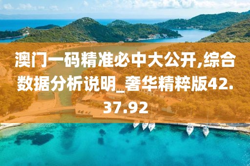 澳门一码精准必中大公开,综合数据分析说明_奢华精粹版42.37.92