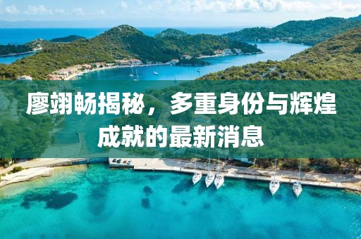 廖翊畅揭秘，多重身份与辉煌成就的最新消息