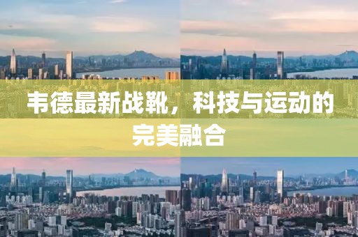 韦德最新战靴，科技与运动的完美融合