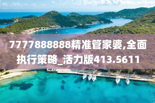 7777888888精准管家婆,全面执行策略_活力版413.5611
