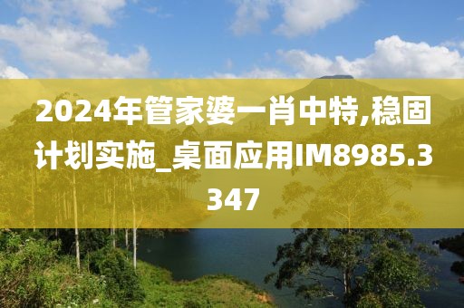 2024年管家婆一肖中特,稳固计划实施_桌面应用IM8985.3347
