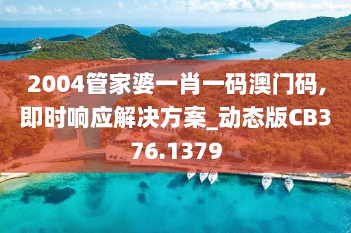 2004管家婆一肖一码澳门码,即时响应解决方案_动态版CB376.1379