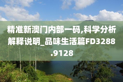 精准新澳门内部一码,科学分析解释说明_品味生活篇FD3288.9128