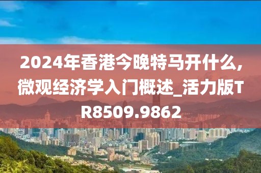2024年香港今晚特马开什么,微观经济学入门概述_活力版TR8509.9862