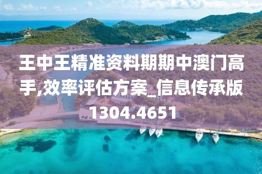 王中王精准资料期期中澳门高手,效率评估方案_信息传承版1304.4651