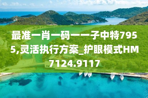 最准一肖一码一一子中特7955,灵活执行方案_护眼模式HM7124.9117