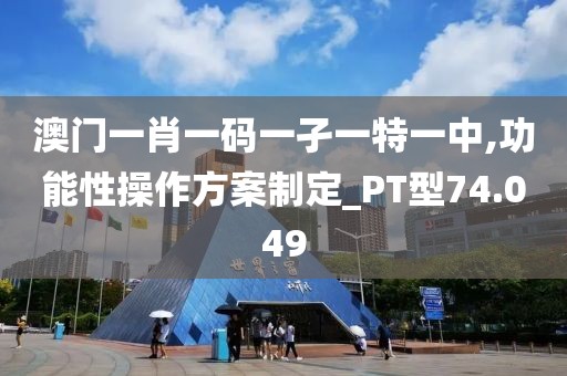澳门一肖一码一孑一特一中,功能性操作方案制定_PT型74.049