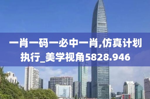 一肖一码一必中一肖,仿真计划执行_美学视角5828.946
