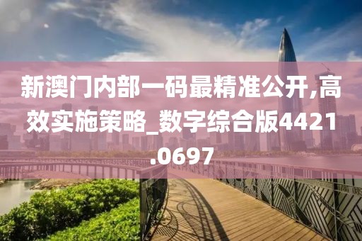新澳门内部一码最精准公开,高效实施策略_数字综合版4421.0697