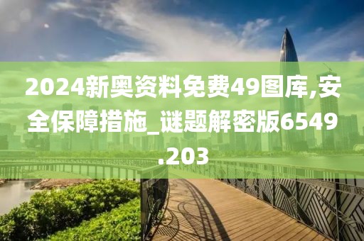 2024新奥资料免费49图库,安全保障措施_谜题解密版6549.203