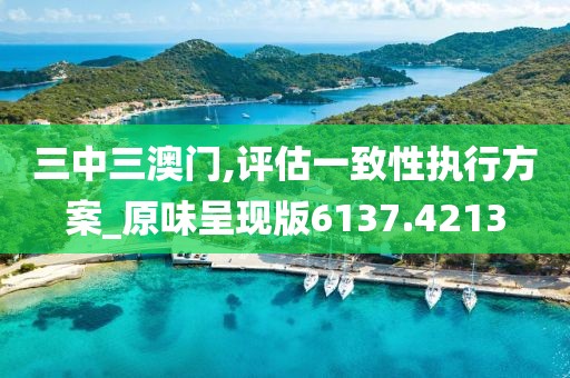 三中三澳门,评估一致性执行方案_原味呈现版6137.4213