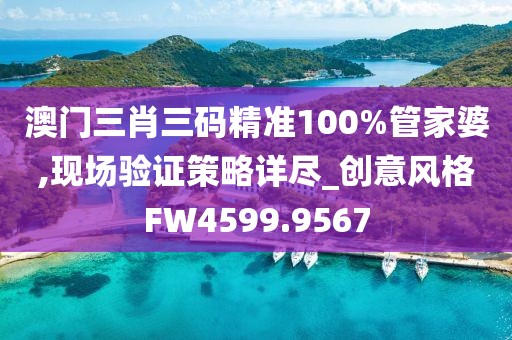 澳门三肖三码精准100%管家婆,现场验证策略详尽_创意风格FW4599.9567