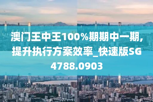澳门王中王100%期期中一期,提升执行方案效率_快速版SG4788.0903