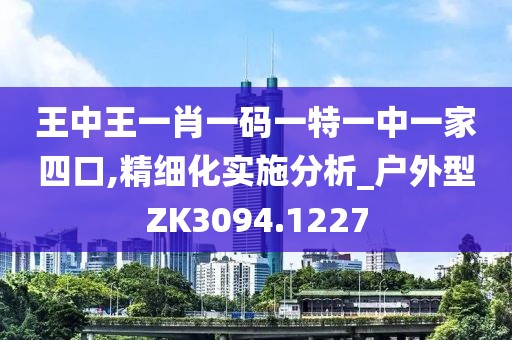 王中王一肖一码一特一中一家四口,精细化实施分析_户外型ZK3094.1227