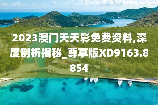 心澳门正版资料 第43页