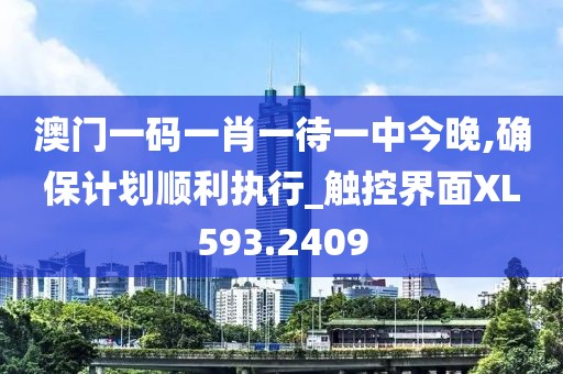 澳门一码一肖一待一中今晚,确保计划顺利执行_触控界面XL593.2409